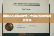 苏必利尔湖州立大学成绩单，揭开背后的学术传奇与成长轨迹
