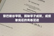黎巴嫩谷学院学子足迹，揭秘青春成绩单背后的辉煌篇章