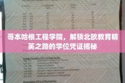探秘哥本哈根工程学院，揭秘北欧精英人才培养的学位奥秘