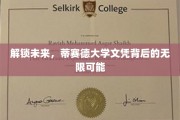 开启未来之门，蒂赛德大学学位引领的无穷机遇