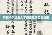 卡尔加里大学成绩单揭秘，解锁学术成就的密码