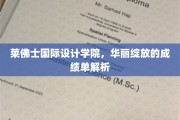 莱佛士设计精英，闪耀全球的璀璨成绩单揭秘记