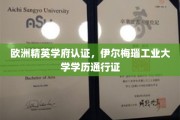 跨国认可精英通行证，伊尔梅瑙工业大学学历全球通行！