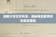 湘湘风波，湖南大学文凭疑云，探析当代教育乱象