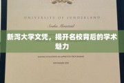 新泻大学文凭，一窥名校学术风采的神秘面纱