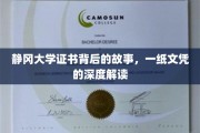 静冈大学文凭背后的传奇，探索一纸证书的深远意义