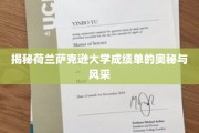 荷兰萨克逊大学成绩单，探秘学术殿堂的独特魅力