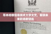 解锁职场未来，哥本哈根信息技术大学文凭的独到价值