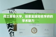 领略荷兰莱顿大学，世界级学术殿堂的独特风采