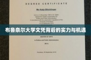 解锁布鲁奈尔大学文凭，揭秘实力与无限机遇