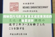 揭开圣托马斯大学成绩单的神秘面纱，一场关于学术与真实的深度探索