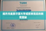 探索丹麦奥尔堡大学成绩单背后的教育秘密