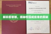探寻密歇根大学成绩单背后的秘密地图
