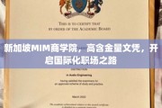 新加坡MIM商学院，高含金量文凭，开启国际化职场之路