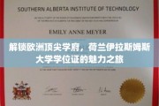 欧洲教育瑰宝，探秘荷兰伊拉斯姆斯大学学位证的非凡价值