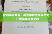 跨洋深造新篇章，荷兰蒂尔堡大学文凭，解锁全球学术之门