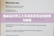 揭开纽约州立大学成绩单的神秘面纱，隐藏的秘密与背后的故事