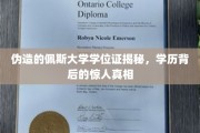 揭秘伪造学位证风波，佩斯大学学历之谜背后惊人内幕