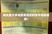 埃夫里大学成绩单背后的学术奥秘揭秘！