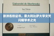 比萨荣耀，欧洲名校文凭，点亮学术梦想之路
