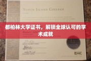 都柏林大学证书，助力国际舞台上的学术荣耀之旅