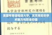 解码布莱德福德，探索文凭背后的学术风采与职场潜力
