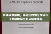 探寻纽约州立大学布法罗学院学霸们的成绩单秘密，揭秘学术成就的背后