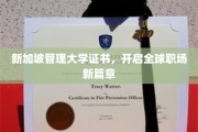 跨越国界，新加坡管理大学证书引领职场未来趋势