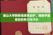 釜山学霸养成记，揭秘学霸背后的辛勤耕耘与汗水瞬间