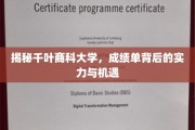 探寻千叶商科大学，成绩单背后的非凡实力与无限机遇