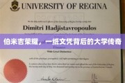 伯米吉之光，文凭背后，揭秘传奇大学的荣耀故事