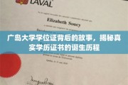 广岛大学学位证，探寻学历证书背后的不凡历程