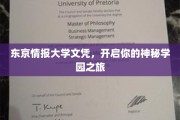 神秘学园启程，揭秘东京情报大学背后的传奇世界