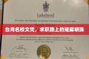 台湾名校光环，照亮求职征途璀璨人生