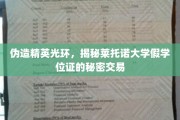 揭秘高校学历黑市，莱托诺大学假学位证背后的灰色链条
