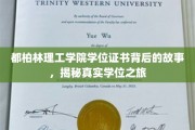 解码都柏林理工学院学位证书，一场真实而精彩的学术旅程揭秘