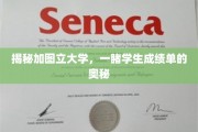 解码加图立大学，一窥学生成绩单背后的秘密世界