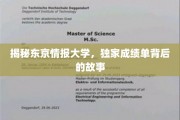 揭秘，东京情报大学神秘成绩单背后的传奇之旅