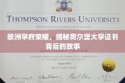 欧洲瑰宝之光，探寻奥尔堡大学证书的传奇之旅