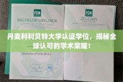 丹麦利利贝特大学学位荣耀全球，揭秘学术成就新标杆！