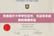 学位荣耀之门，布鲁奈尔大学证书，承载学术巅峰的荣耀印记