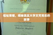 学历背后的神秘面纱，揭开大学文凭的奥秘之旅