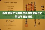 新加坡国立大学文凭闪耀，开启学历新境界之旅