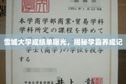 雪城学霸养成记，揭秘学霸背后的成绩单秘密