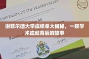 解码谢菲尔德大学成绩单，揭开学术辉煌背后的真实轨迹