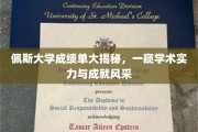 揭开佩斯大学成绩单面纱，探寻学术辉煌与成就之光