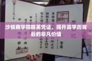 解码沙顿精英，高学历背后的非凡成就之路
