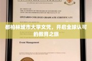 跨国认可，都柏林城市大学文凭引领国际教育新航程
