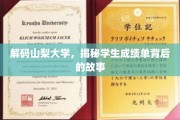 山梨大学成绩单，探寻学子成就背后的真实轨迹
