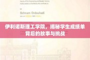 解码伊利诺斯理工学霸之路，成绩单背后的挑战与成长故事